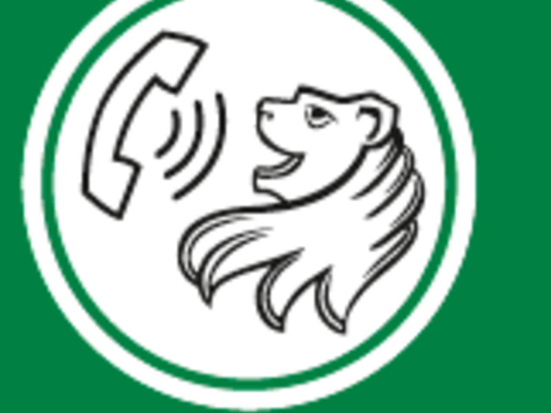 Bild zeigt ein Symbol mit einem stilisierten Löwenkopf, der scheinbar in ein halbes Telefon spricht, umgeben von Kreisen auf grünem Hintergrund.